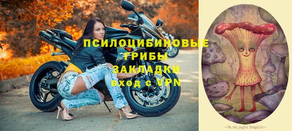МДПВ Елизово