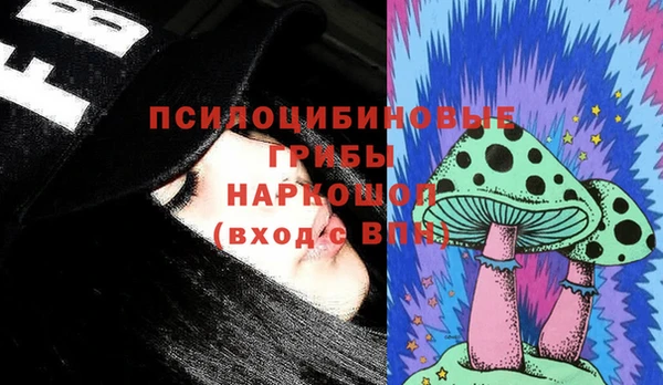трава Елабуга