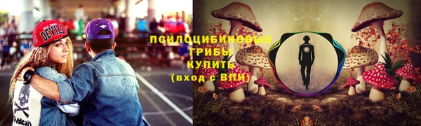 МДПВ Елизово