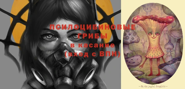 кристаллы Ельня