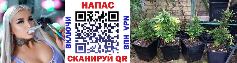 Купить  Шенкурск  МАРИХУАНА марихуана 